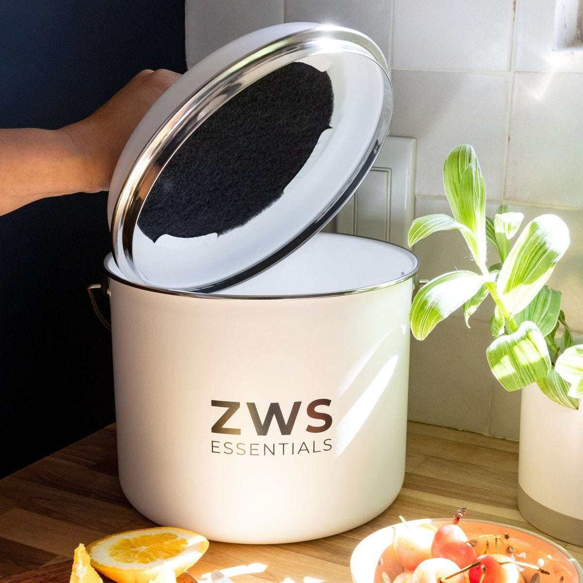 Compostable Products & Composting