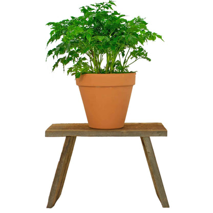 Raw Reclaimed Redwood Stool or End Table