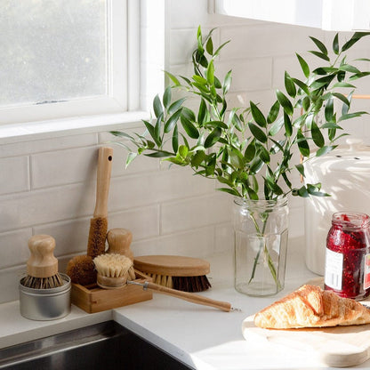 Plastic-Free and Zero-Waste Dish Brush Kit