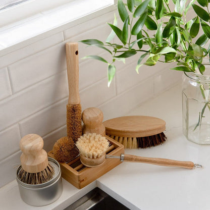 Plastic-Free and Zero-Waste Dish Brush Kit