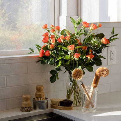 Plastic-Free and Zero-Waste Dish Brush Kit